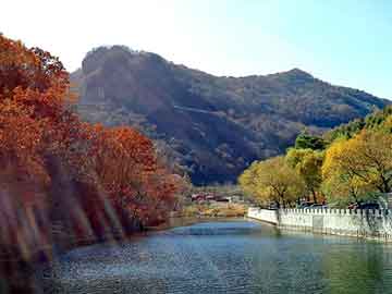 關(guān)于管家婆一肖一碼與澳門博彩的探討——警惕違法犯罪風(fēng)險