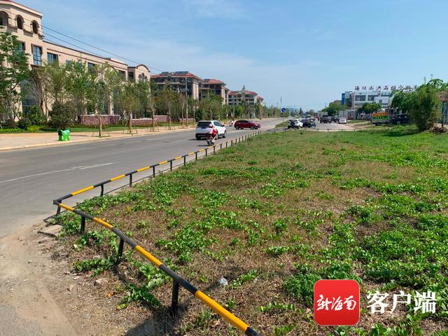 新合埠路最新動(dòng)態(tài)，邁向未來(lái)的城市主干道重塑與升級(jí)