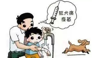 最新狂犬病發(fā)作視頻，理解與應(yīng)對的挑戰(zhàn)