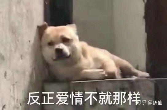 微信最新表情包含義，探索表情背后的故事與情感表達(dá)