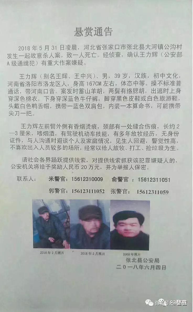 網(wǎng)上最新通緝犯名單，社會安全的警鐘長鳴