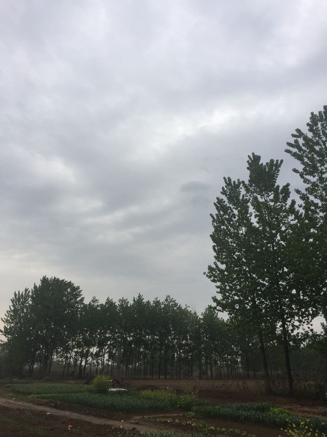獲嘉天氣預報最新