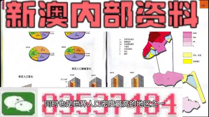 新澳門正版精準(zhǔn)免費(fèi)大全與平衡釋義，探索、實(shí)踐、落實(shí)