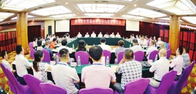 澳門王中王100的資料論壇，深入解析與落實(shí)的探討