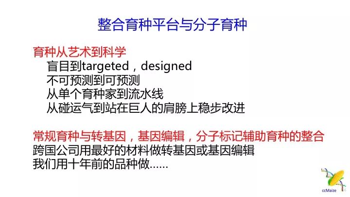 澳門正版免費服務(wù)與顧問釋義解釋落實，未來的趨勢與挑戰(zhàn)