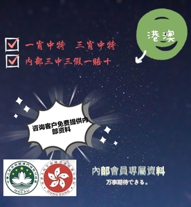 澳門一肖一碼，揭秘所謂的精準(zhǔn)王中王背后的真相與需求釋義解釋落實(shí)的重要性