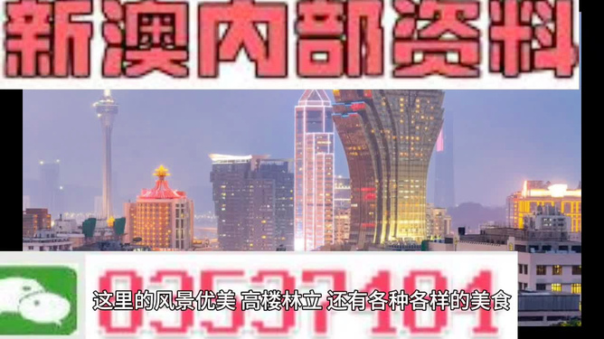 新澳門(mén)精準(zhǔn)資料大全，龍門(mén)資料最新解讀與實(shí)際應(yīng)用
