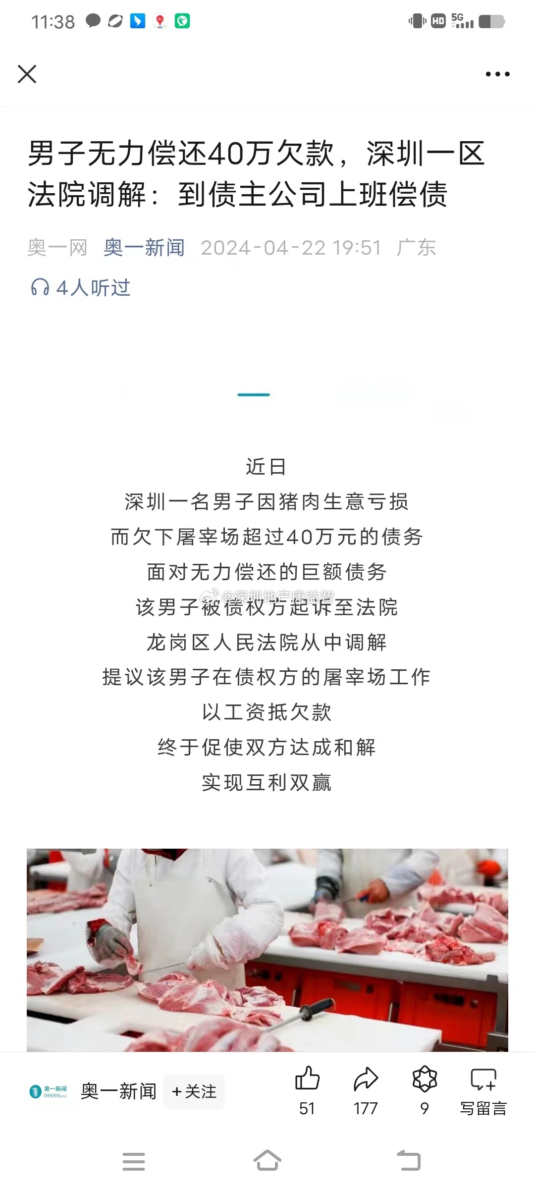 一肖一碼一一肖一子在深圳，瞬時釋義、解釋與落實